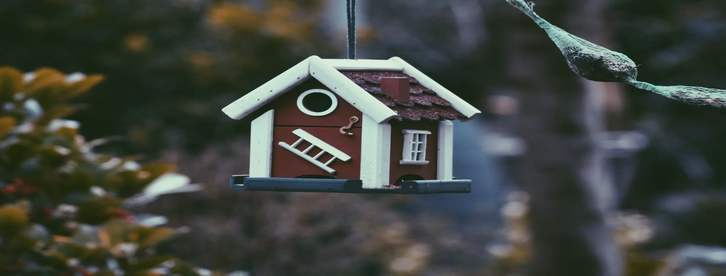Image for Strong Rental Market
